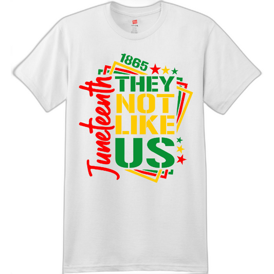 Juneteenth They not like us Perfect-T Cotton T-Shirt. 4980